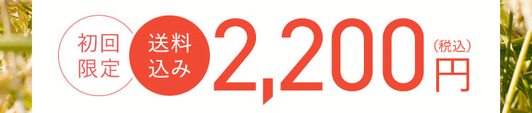 初回限定、送料込み2,200円(税込)