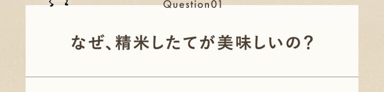 なぜ、精米したてが美味しいの？