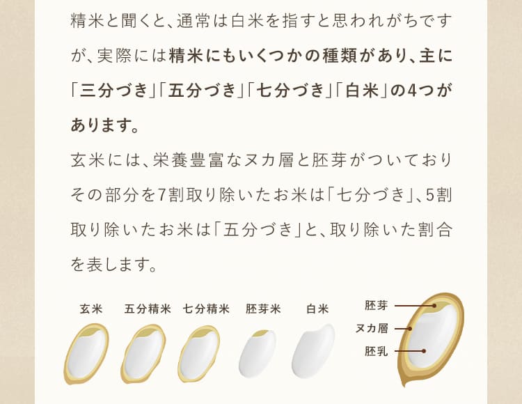 精米と聞くと、通常は白米を指すと思われがちですが、実際には精米にもいくつかの種類があり、主に「三分づき」「五分づき」「七分づき」「白米」の4つがあります。玄米には、栄養豊富なヌカ層と胚芽がついており、その部分を7割取り除いたお米は「七分づき」、5割取り除いたお米は「五分づき」と、取り除いた割合を表します。