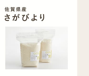 佐賀県産　さがびより