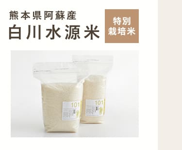 熊本県阿蘇産 白川水源米（特別栽培米）