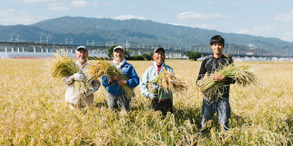 厳選された九州米