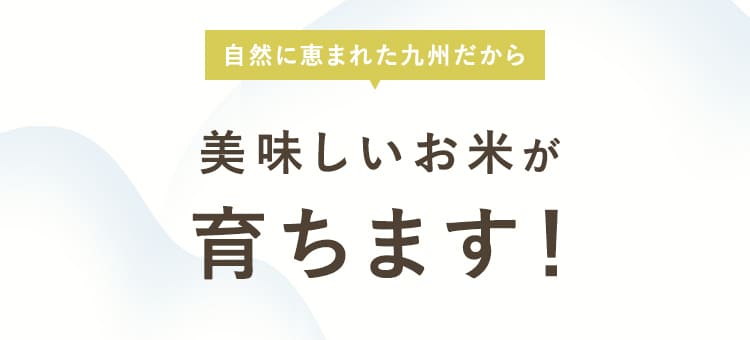 自然に恵まれた九州だから美味しいお米が育ちます!