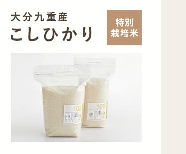 大分九重産 こしひかり(特別栽培米)